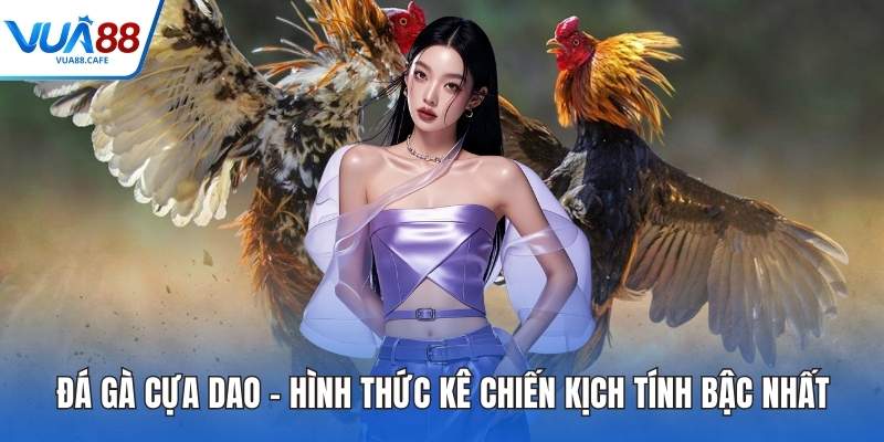 Đá Gà Cựa Dao – Hình Thức Kê Chiến Kịch Tính Bậc Nhất