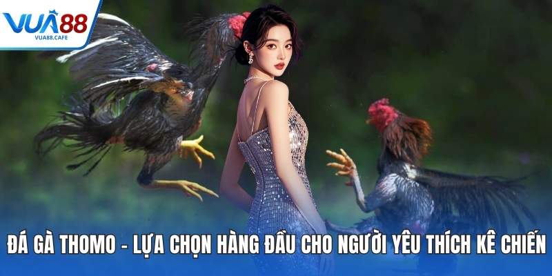 Đá Gà Thomo – Lựa Chọn Hàng Đầu Cho Người Yêu Thích Kê Chiến