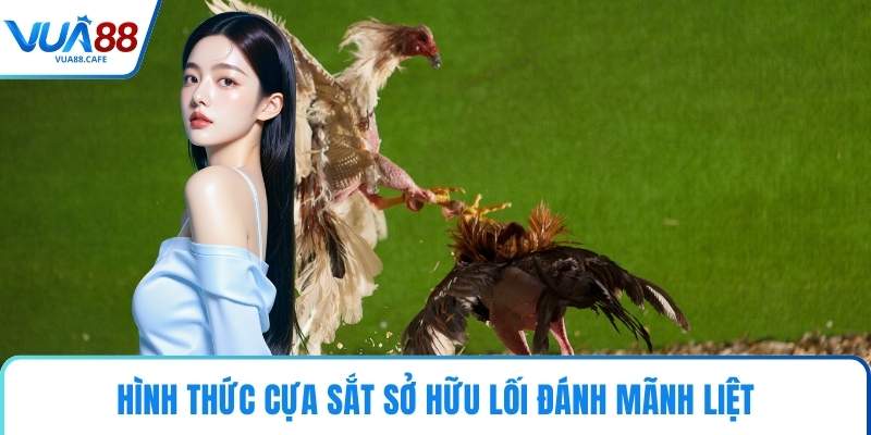 Hình thức cựa sắt sở hữu lối đánh mãnh liệt