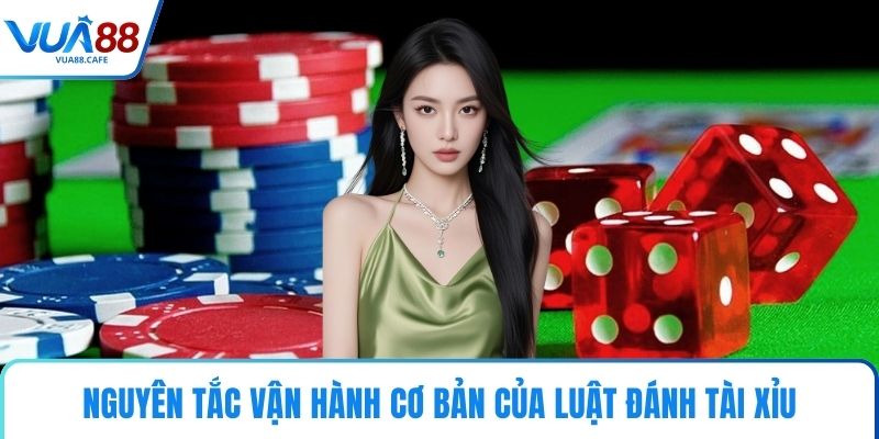 Nguyên tắc vận hành cơ bản của luật đánh tài xỉu