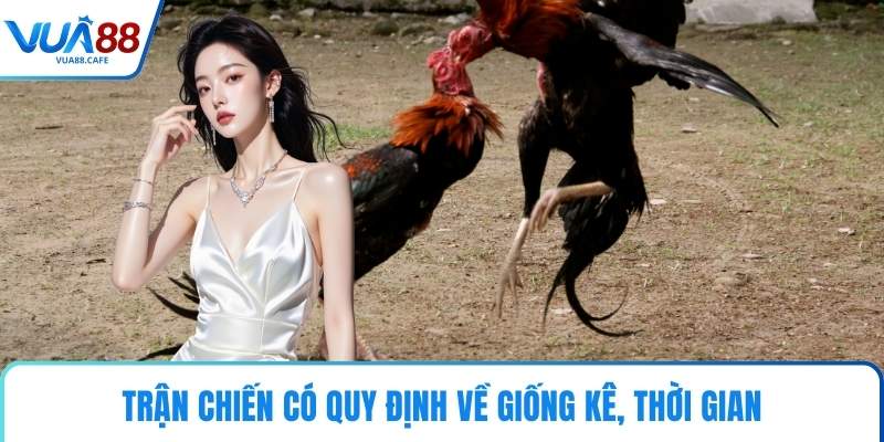 Trận chiến có quy định về giống kê, thời gian
